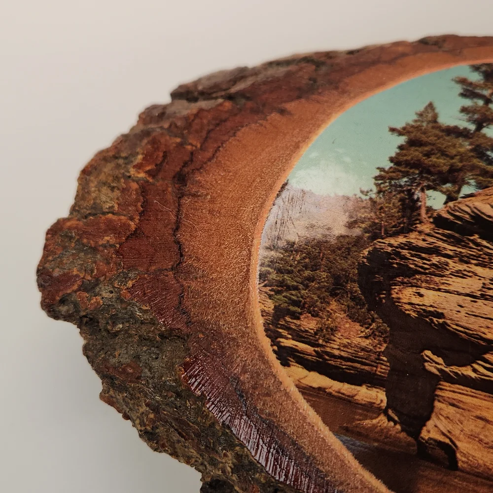 Wisconsin Dells scene on natural wood From 1983!